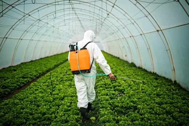 Best Pest Control Cost  in Frankfort, OH