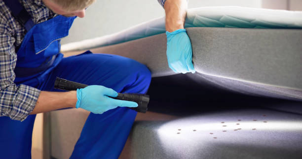 Best Best Pest Control Companies  in Frankfort, OH