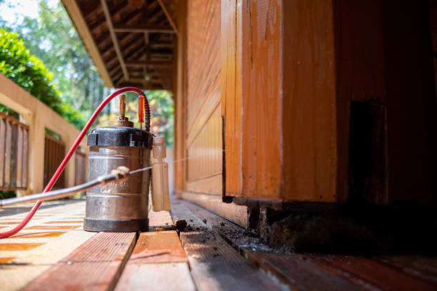 Best Pest Removal Services  in Frankfort, OH