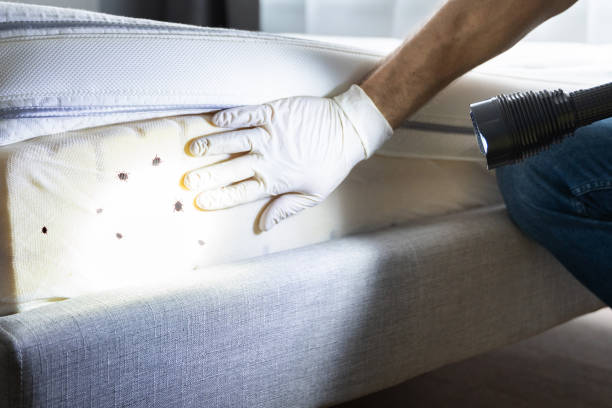 Professional Pest Control in Frankfort, OH