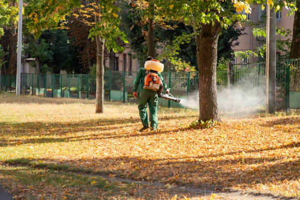 Best Pest Inspection Near Me  in Frankfort, OH