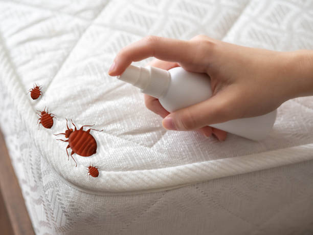 Best Exterminator Services  in Frankfort, OH