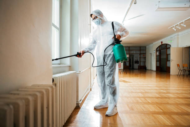 Best Wasp Removal Services  in Frankfort, OH