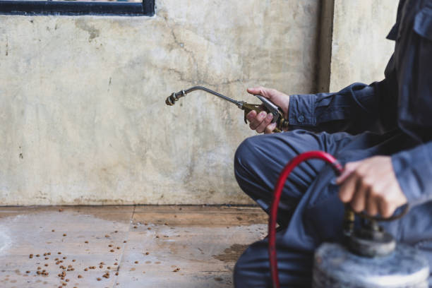 Best Pest Control for Restaurants  in Frankfort, OH
