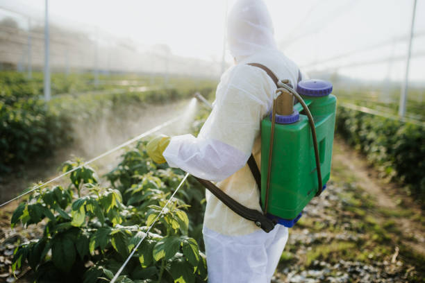 Pest Control Cost in Frankfort, OH
